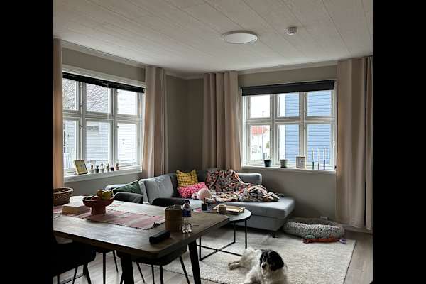 House sit in Stavanger, Norway