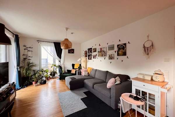 House sit in Hamburg, Germany