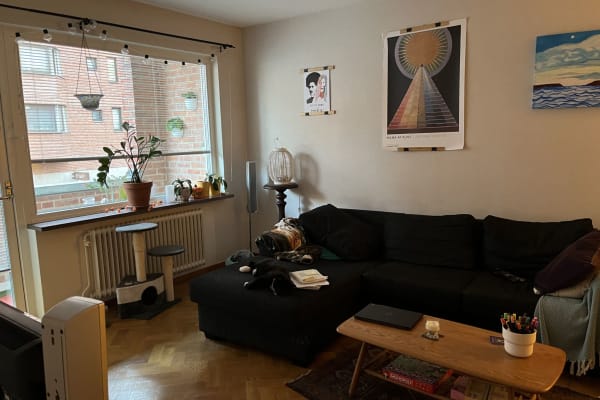 House sit in Malmö, Sweden