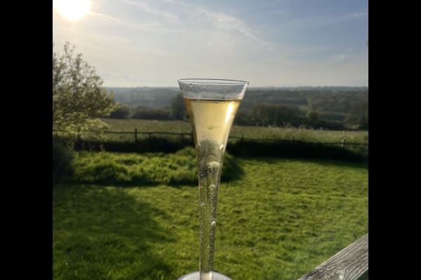 House sit in Buxted, United Kingdom