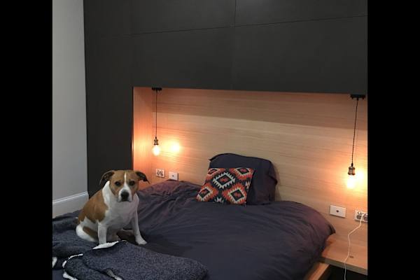 House sit in Sydney, NSW, Australia