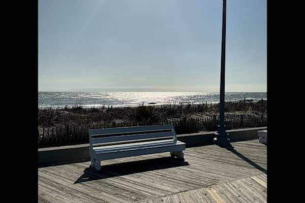 House sit in Rehoboth Beach, DE, US