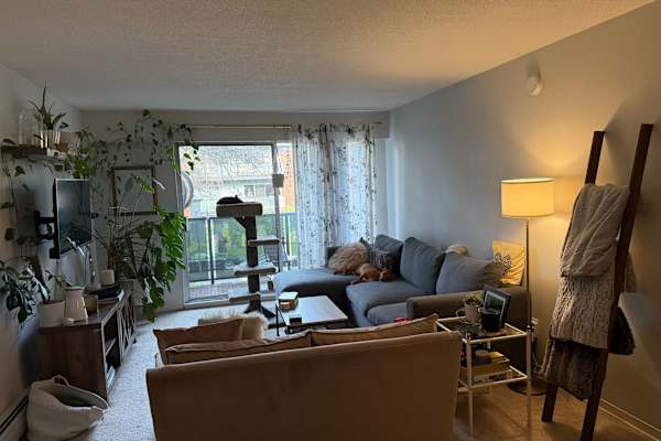 House sit in Vancouver, BC, Canada