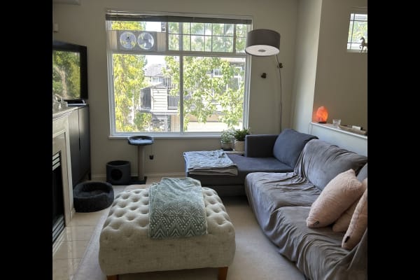 House sit in Richmond, BC, Canada