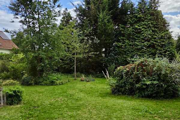 House sit in Homburg, Germany