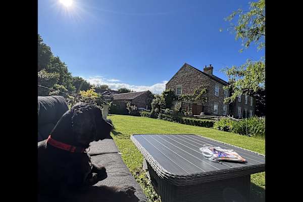 House sit in Boroughbridge, United Kingdom