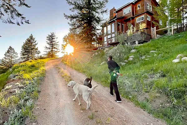 House sit in Conifer, CO, US