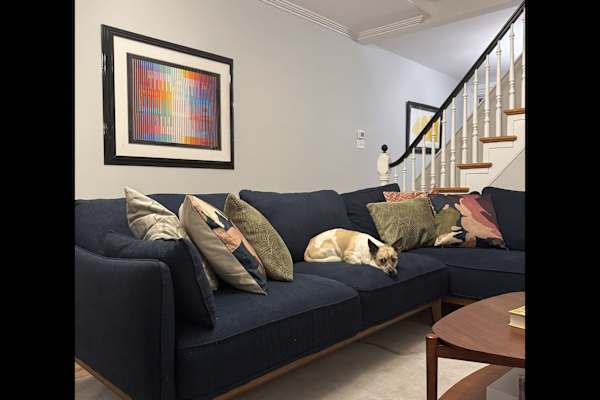 House sit in Philadelphia, PA, US