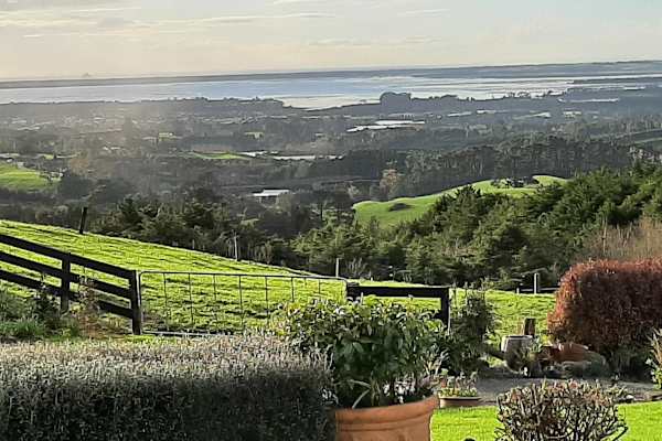 House sit in Katikati, New Zealand