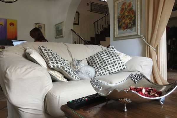 House sit in Cortona, Italy