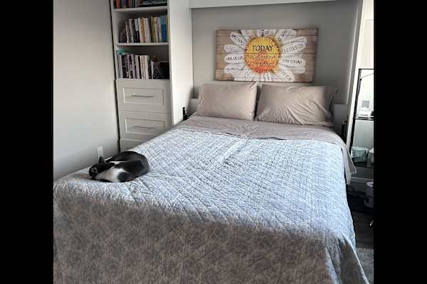 House sit in Houston, TX, US