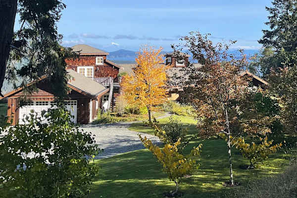 House sit in Ganges, BC, Canada