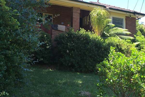 House sit in North Epping, NSW, Australia