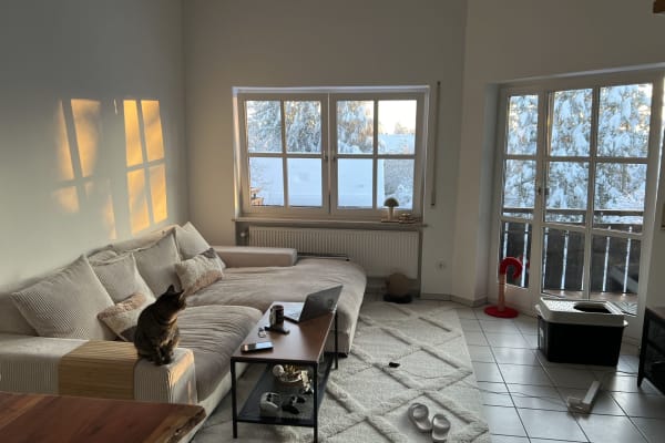 House sit in Munich, Germany