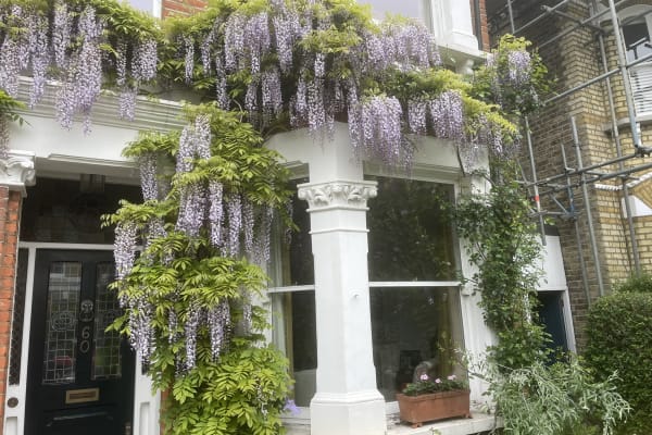 House sit in Wandsworth, United Kingdom