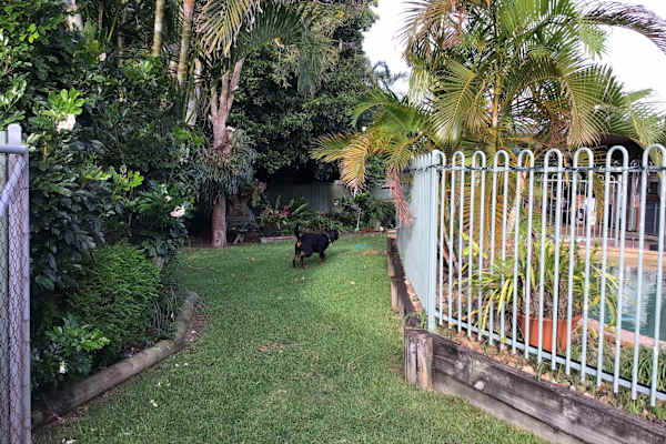 House sit in Brisbane, QLD, Australia