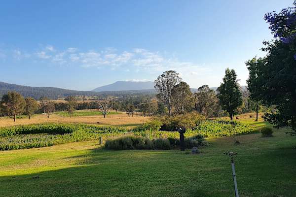House sit in Bermagui, NSW, Australia