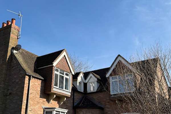 House sit in Boston, United Kingdom