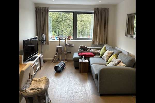 House sit in Brentwood, United Kingdom