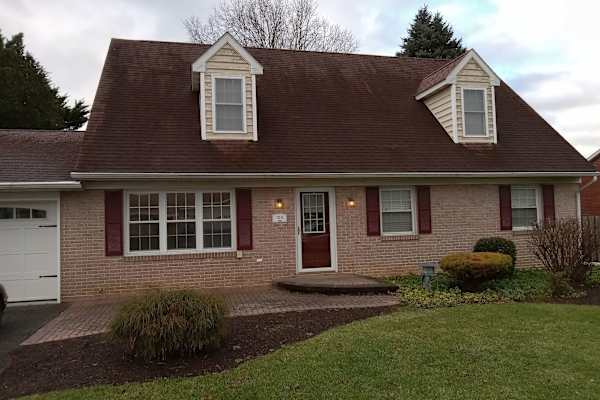 House sit in Reading, PA, US