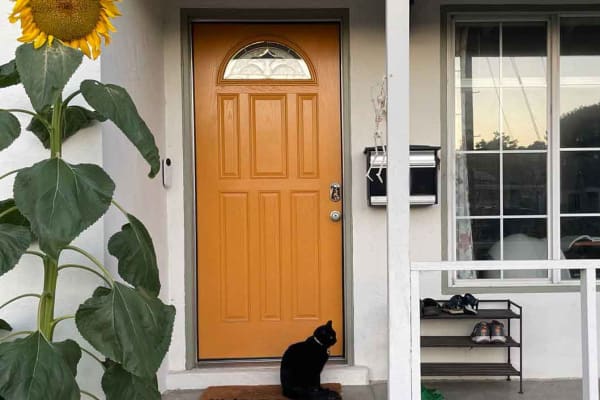 House sit in East Palo Alto, CA, US