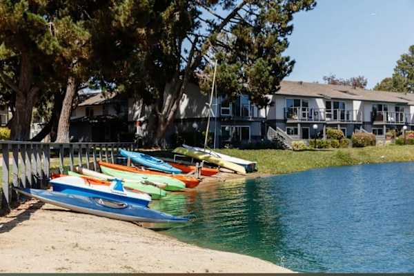 House sit in Foster City, CA, US