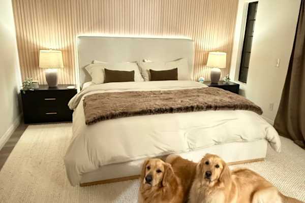 House sit in Costa Mesa, CA, US