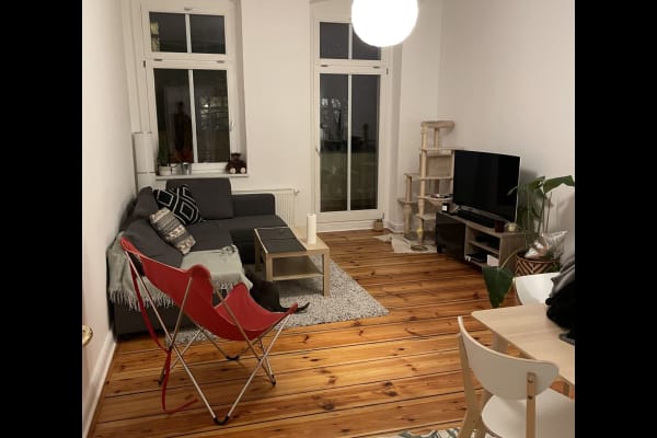 House sit in Berlin, Germany