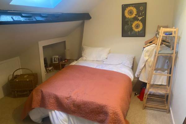 House sit in Alnwick, United Kingdom
