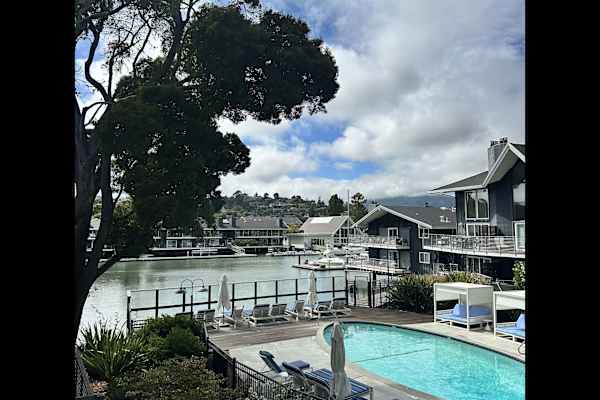 House sit in Tiburon, CA, US