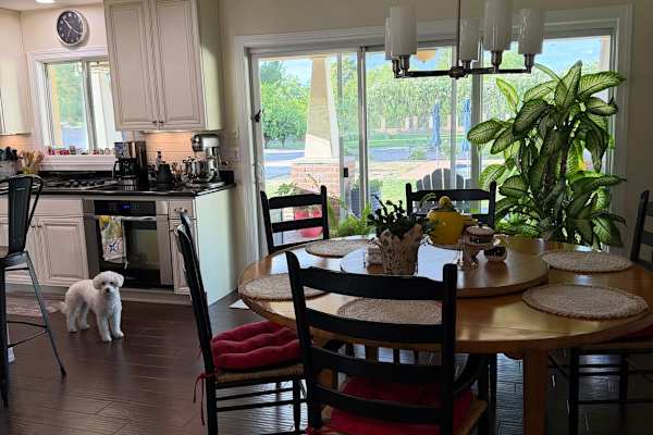 House sit in Scottsdale, AZ, US