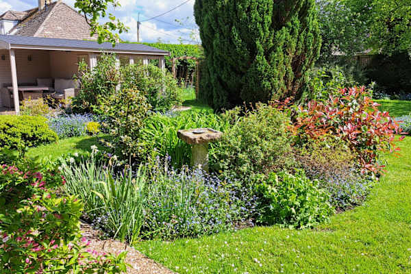 House sit in South Cerney, United Kingdom