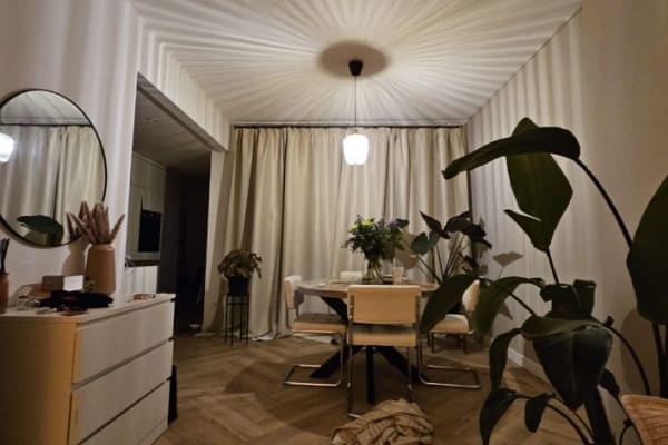 House sit in Utrecht, Netherlands