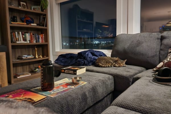 House sit in Moncton, NB, Canada