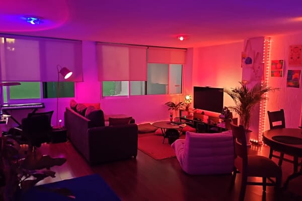 House sit in Mexico City, Mexico