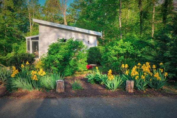 House sit in Asheville, NC, US