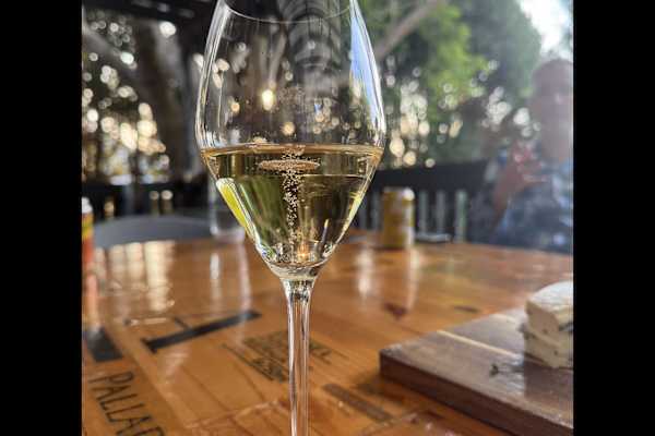 House sit in Sydney, NSW, Australia