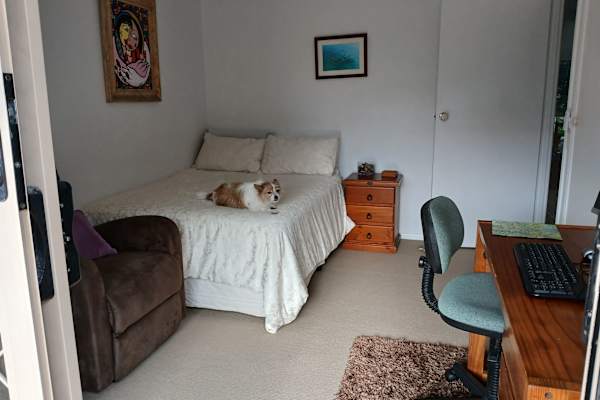 House sit in Sunshine Coast, QLD, Australia