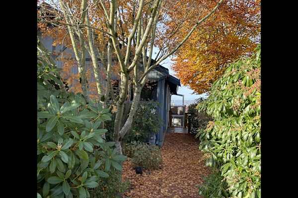 House sit in Bellingham, WA, US