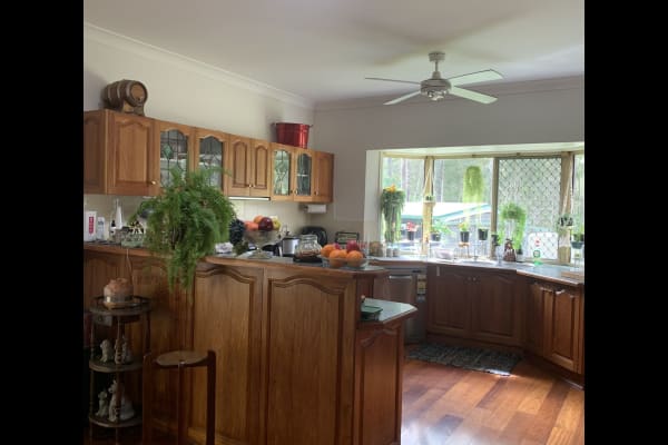 House sit in Brisbane, QLD, Australia