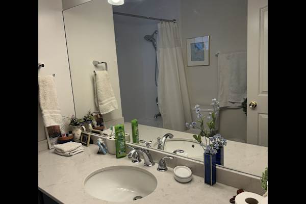 House sit in Vancouver, BC, Canada