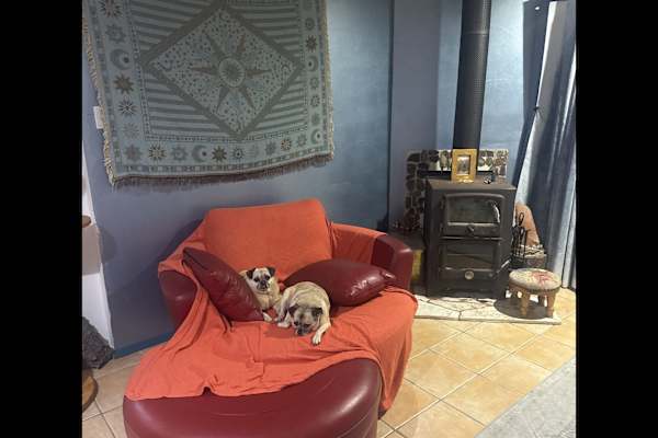 House sit in Byron Bay, NSW, Australia