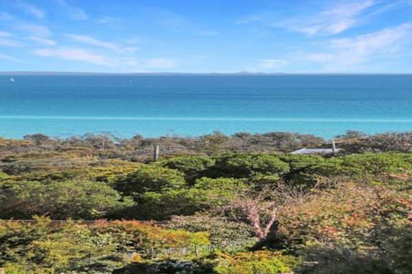 House sit in Melbourne, VIC, Australia