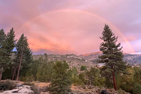 House sit in Johnsondale, CA, US