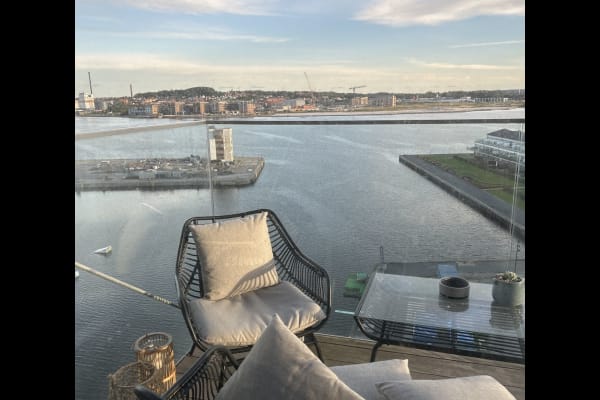 House sit in Aalborg, Denmark