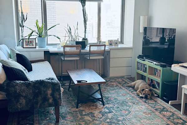 House sit in New York City, NY, US