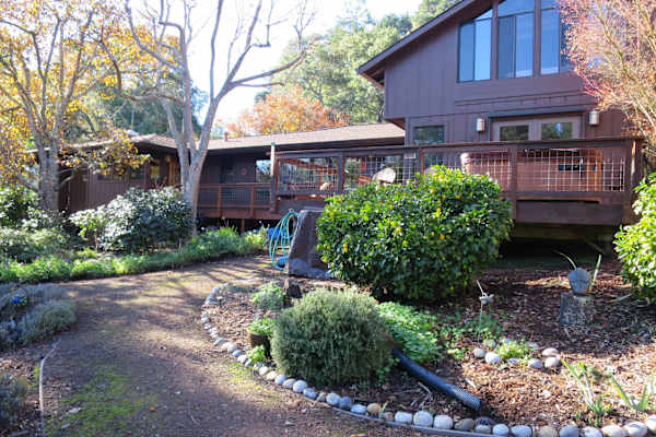 House sit in Sebastopol, CA, US