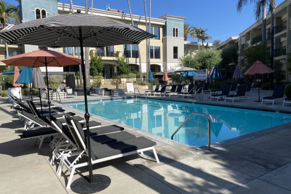 House sit in Los Angeles, CA, US