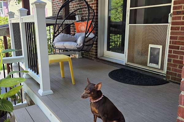 House sit in Nanuet, NY, US