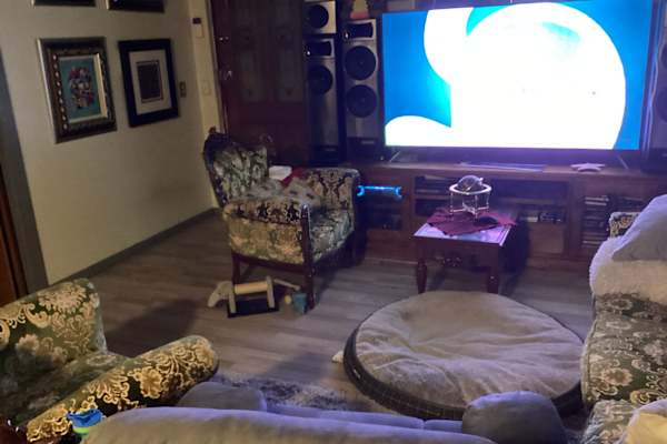 House sit in Adelaide, SA, Australia